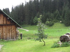 CIMG0524